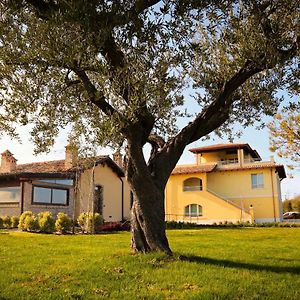 Agriturismo Biocore 2 - Colledoro